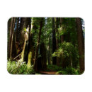 Search for redwood national park magnets Redwoods