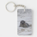 Search for sea lion key rings Beach