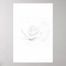 Search for book promotion posters Create your own