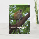 Search for monkey mothers day cards Funny