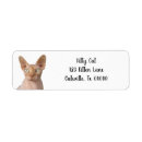 Search for sphynx cat return address labels Cats