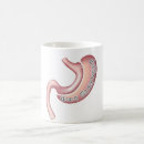 Search for sleeves mugs Bariatric