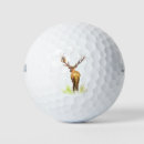 Search for deer antlers golf balls Wildlife