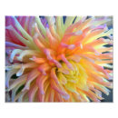 Search for 10x8 posters Pink