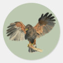 Search for red bird labels Birds of prey