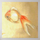 Search for fantail posters Goldfish