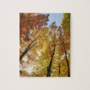Search for autumn scenes puzzles Photography