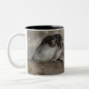 Search for swallows mugs Bird
