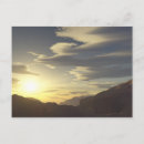 Search for hawks postcards Sky