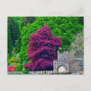 Search for windermere postcards Lake district
