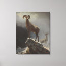 Search for albert art Rocky mountains