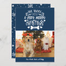 Search for animal lover christmas cards Snowflakes