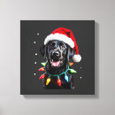 Search for black wolf canvas prints Pug