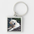 Search for selected square key rings Dog