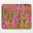 Search for bloom mousepads Colourful