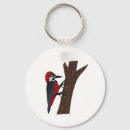 Search for woodpecker key rings Nature