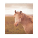 Search for horse notepads Animal