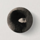 Search for darkness badges Abstract