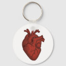 Search for anatomical heart key rings Illustration