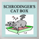 Search for schrodinger cat posters Humour