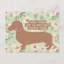 Search for doxies postcards Teckel