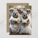 Search for koala postcards Bear