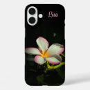 Search for pink plumeria electronics Floral