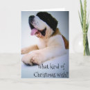 Search for huge christmas cards Veterinarian