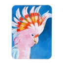 Search for neon pink magnets Tropical