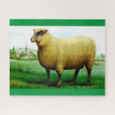 Search for sheep farm puzzles Pasture