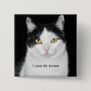 Search for cat portrait badges Kitten