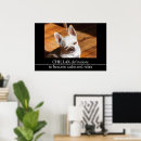 Search for funny dog pictures posters Cute