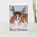 Search for raindeer christmas cards Antlers