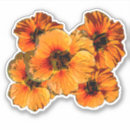 Search for nasturtium stickers Pretty