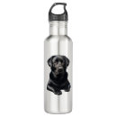 Search for black labrador water bottles Animals