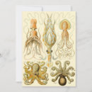 Search for squids invitations Tentacles