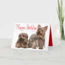 Search for yorkshire terrier dog birthday cards Yorkie