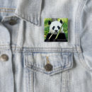 Search for smithsonian badges Panda