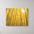 Search for aspen tree canvas prints White river national forest