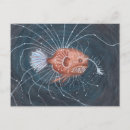 Search for deep sea fish postcards Anglerfish