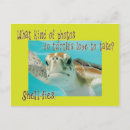 Search for funny turtles postcards Beach