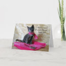 Search for from the cat birthday cards Kitten