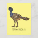 Search for ecuador postcards Colombia