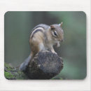 Search for chipmunk mousepads Cute