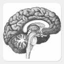 Search for human brain stickers Vintage