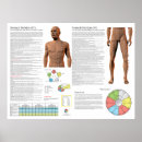 Search for acupuncture posters Holistic
