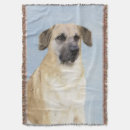Search for ear blankets Dog