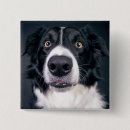 Search for dog photo badges Cute