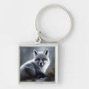 Search for artic key rings Snow