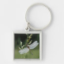 Search for adam jones key rings Animal